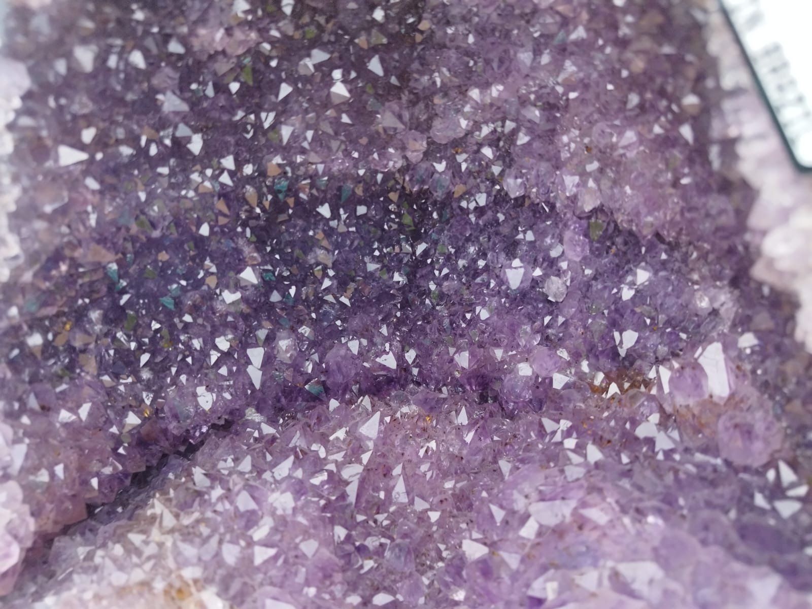 Mineralien & Heilsteine: Majestätische Amethystdruse aus Brasilien – Neu (gemäss Beschreibung) aus Rheineck von  1