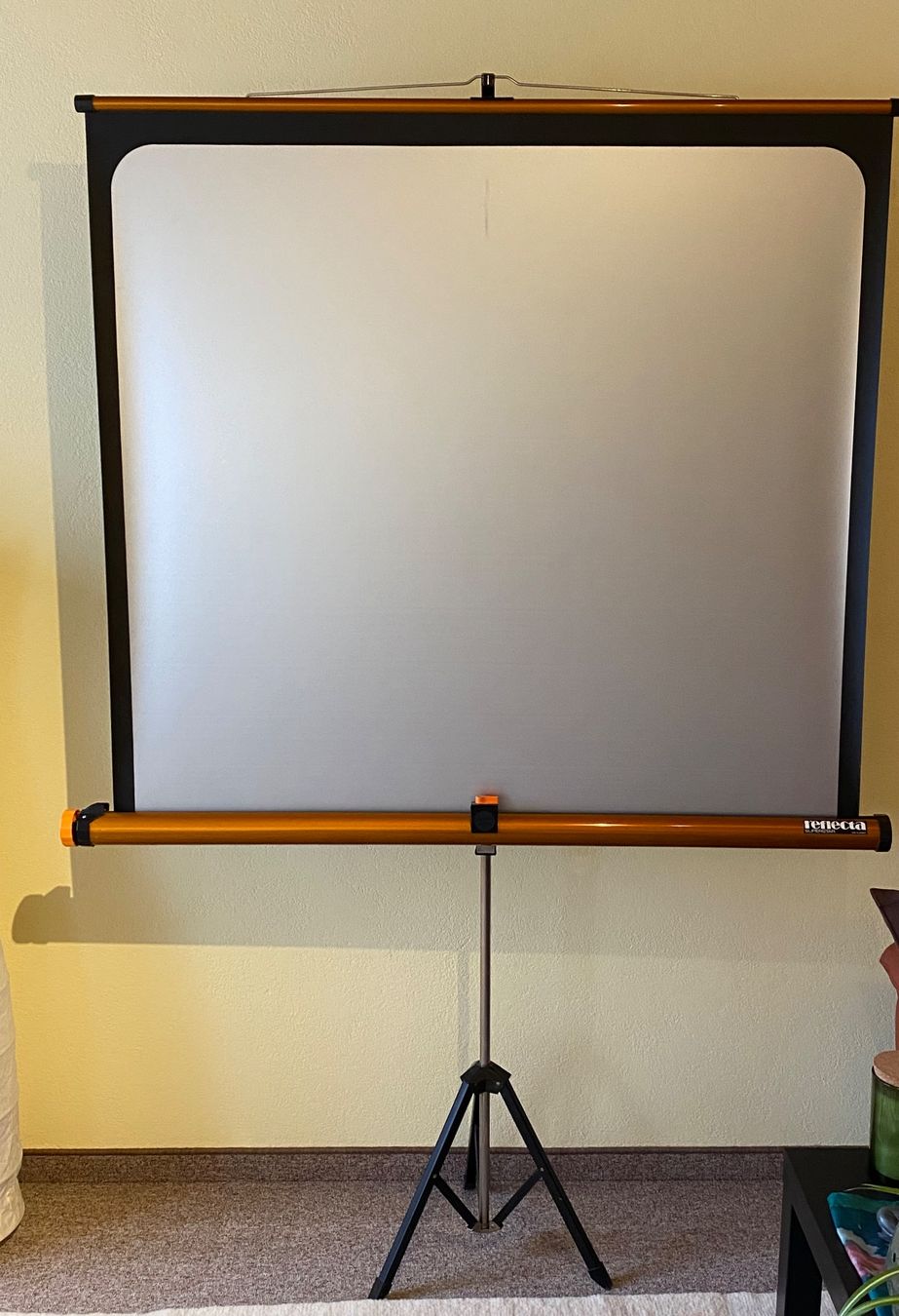 Home Cinema: Reflexhaft Diamator AF + Stativleinwand + 1000 Dias – Usato da Trübbach venduto da milaverano22 3