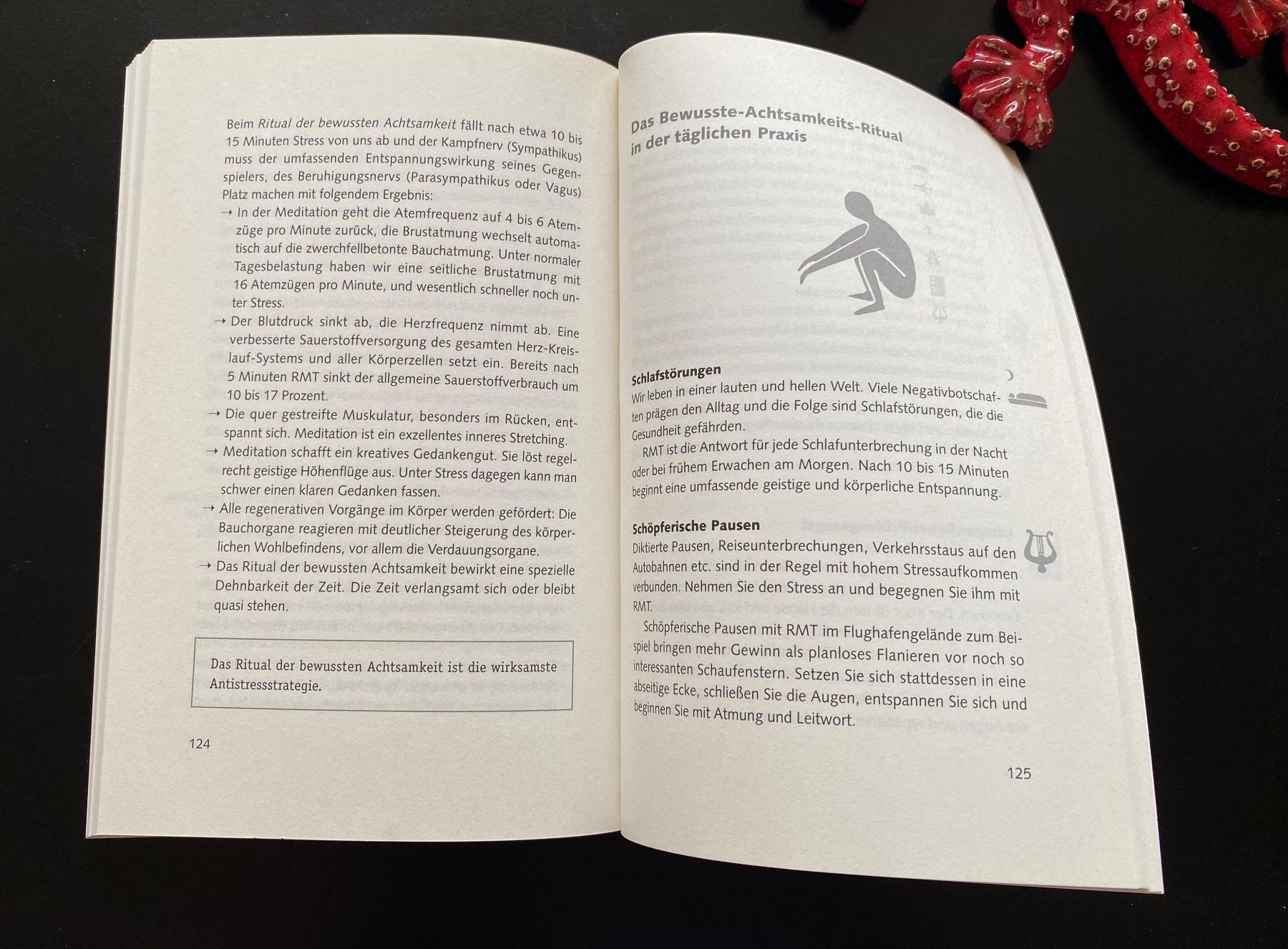 Libri: ANTI-STRESS RITUALE – Usato da Nussbaumen AG venduto da schuba2000 4