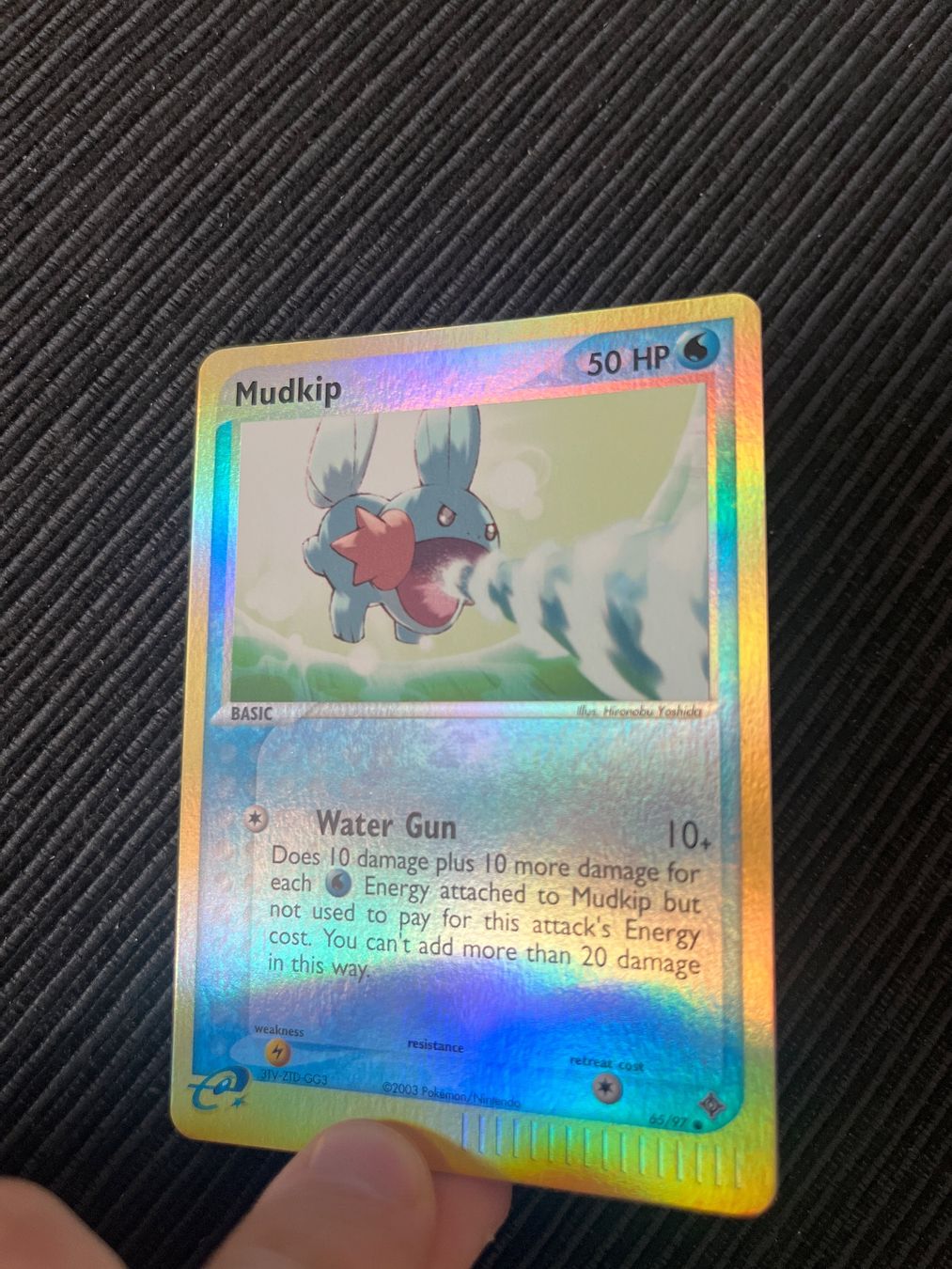 Pokémon Cartes à collectionner: Pokemon Mudkip Reverse Holo EX Dragon – D'occasion à Wabern par Collectfun 1