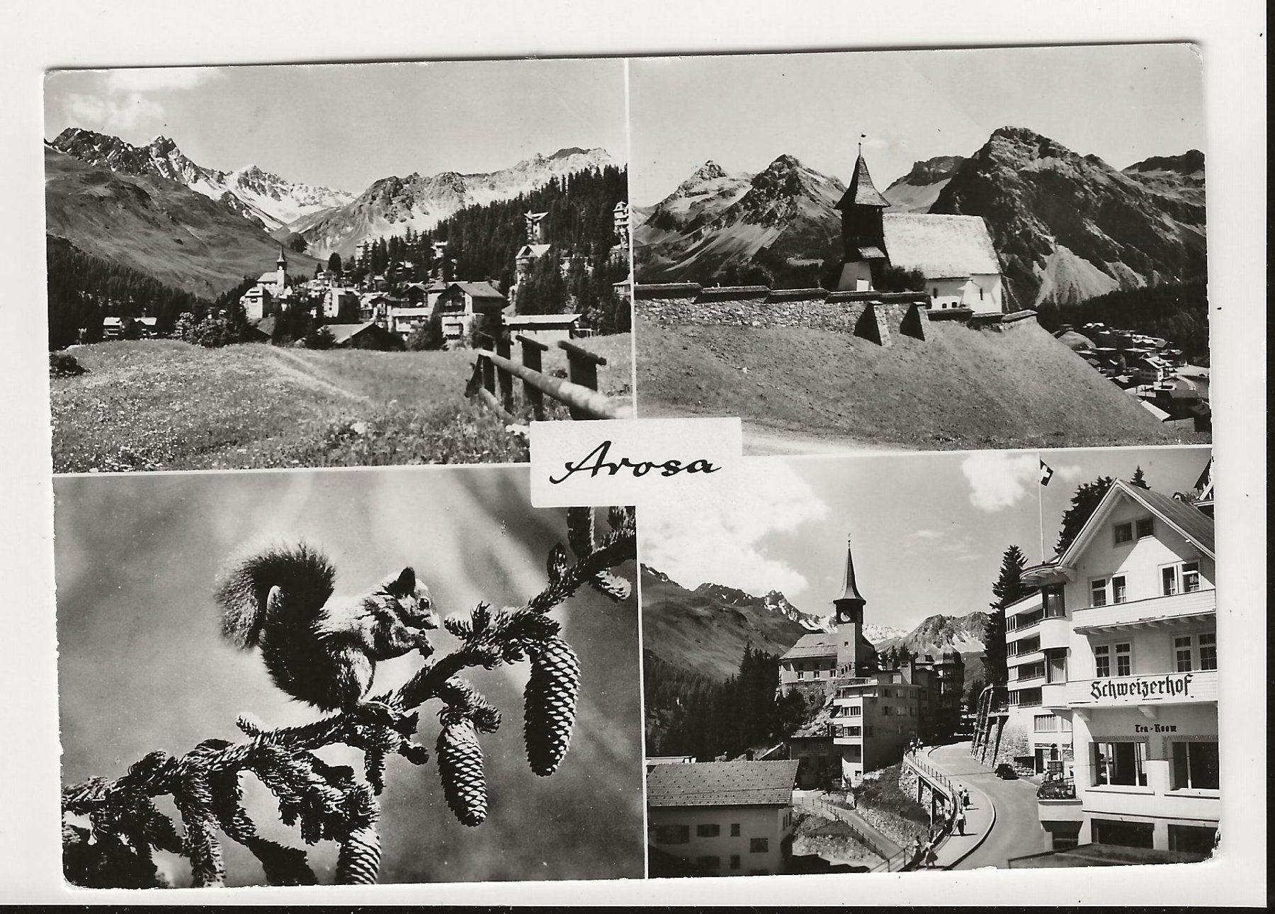 Cartoline postali: AK 1960  Arosa – Usato da Greifensee venduto da 315WDO