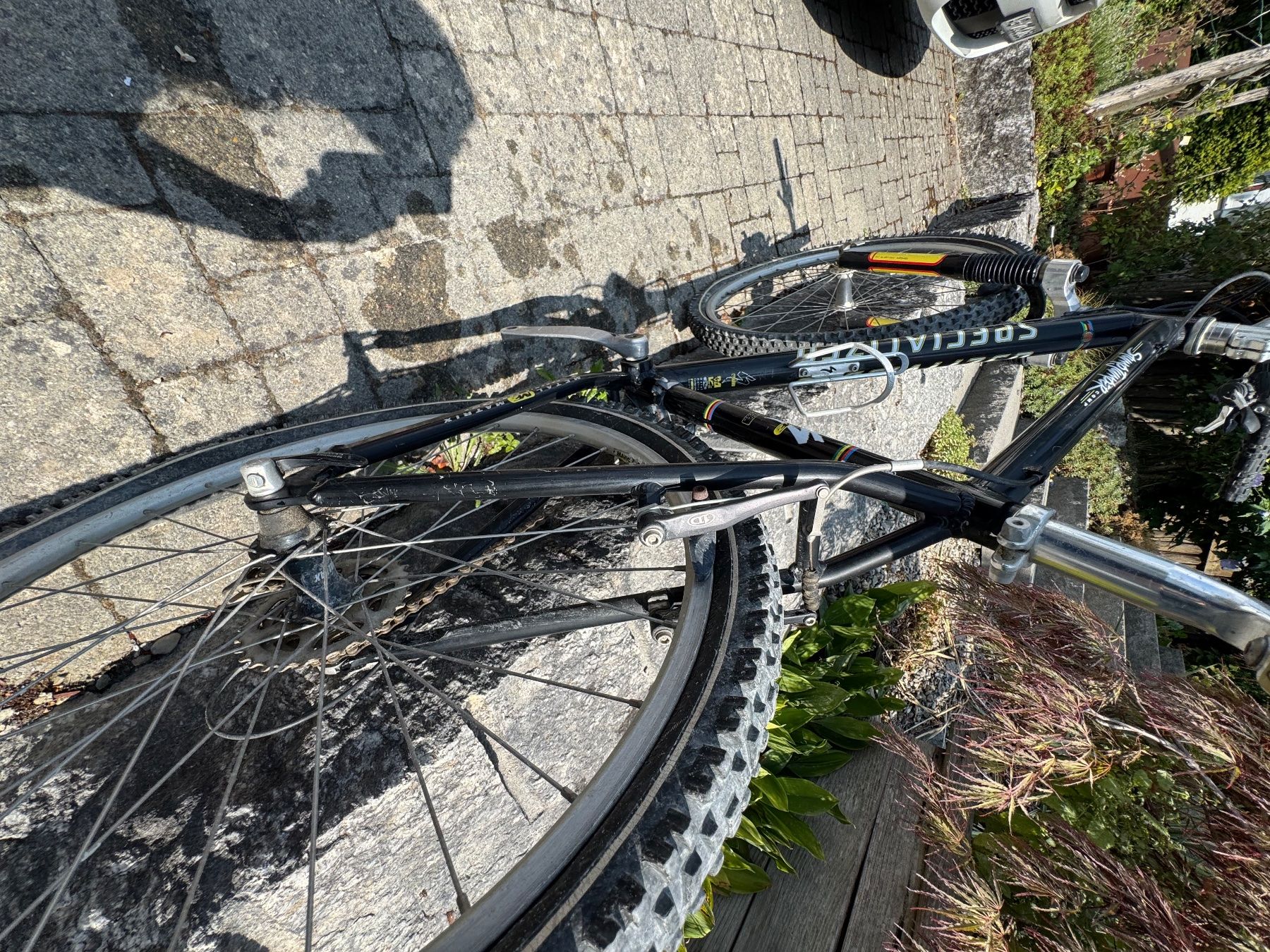 Specialized Velos: Specialized Stumpjumper comp – Gebraucht aus Oberrohrdorf von jenny_vonlanthen 2
