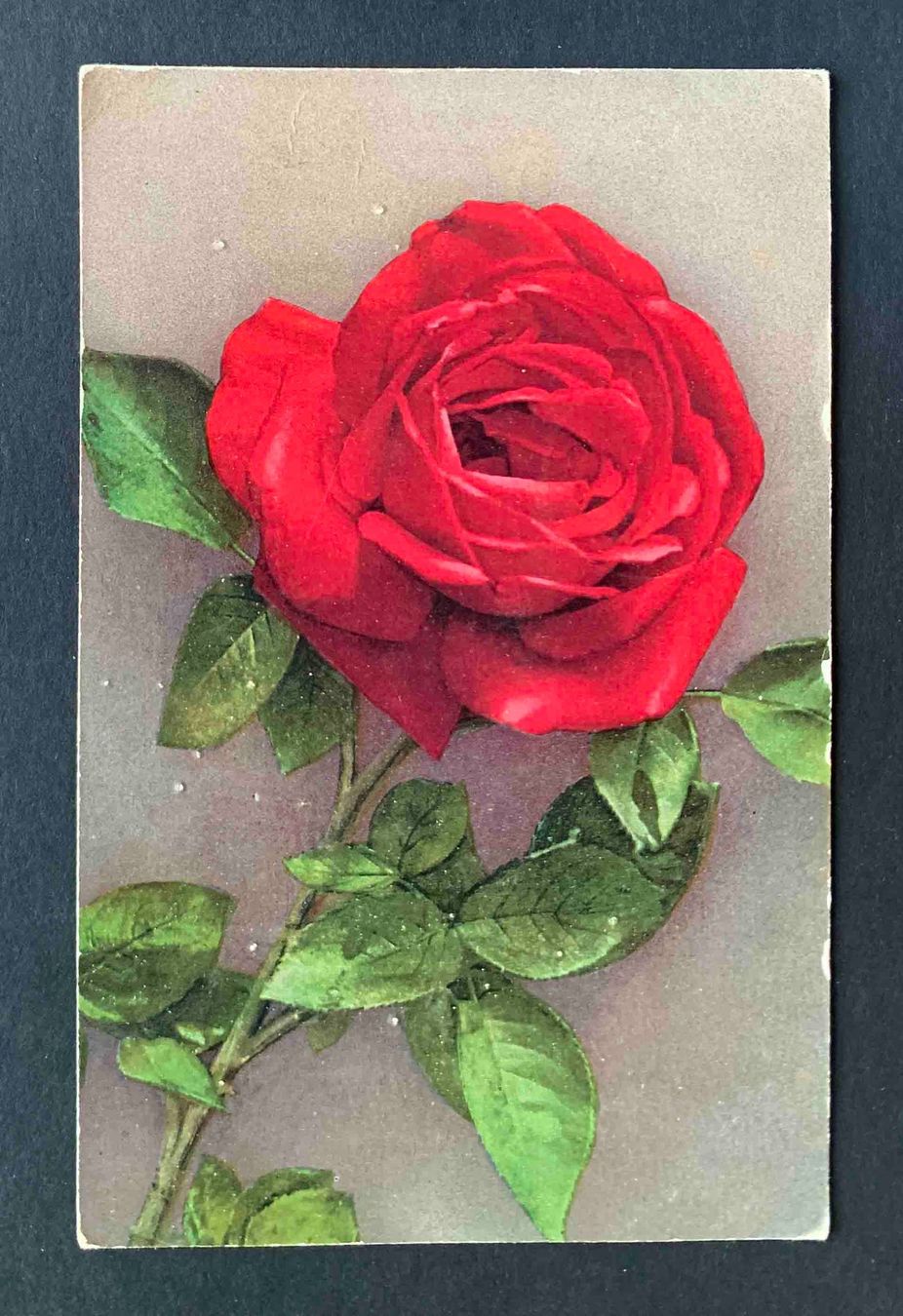 Cartoline postali: AK Rote Rose Stempel Seuzach 1932 – Usato da Goldau venduto da Balkonia09