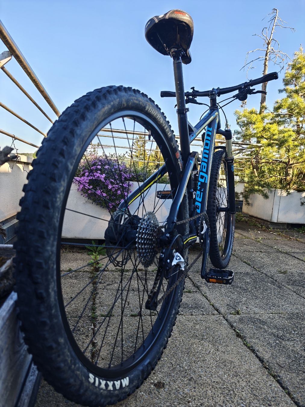 Bergamont Biciclette: Bergamont Contrail LTD MTB Limited Edition 29'' - Size M – Usato da Zurich venduto da JesusSA 2