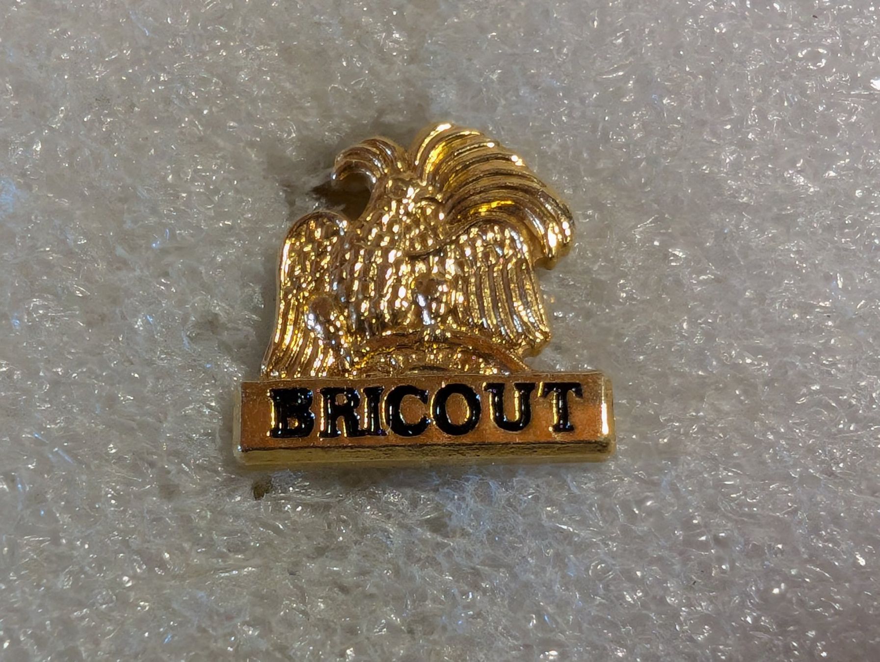 Placchette & Badge: Ansteckpin 102: Bricout – Usato da Oppligen venduto da Pin-Fall-Shop