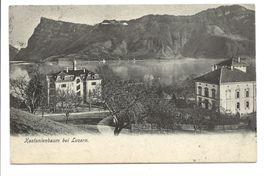 Kastanienbaum - Horw (LU) Villen am See - Bürgenstock  1908