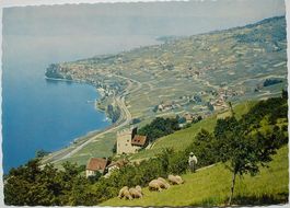 Politique LAVAUX Les candidats libéraux - Hirte mit Schafen
