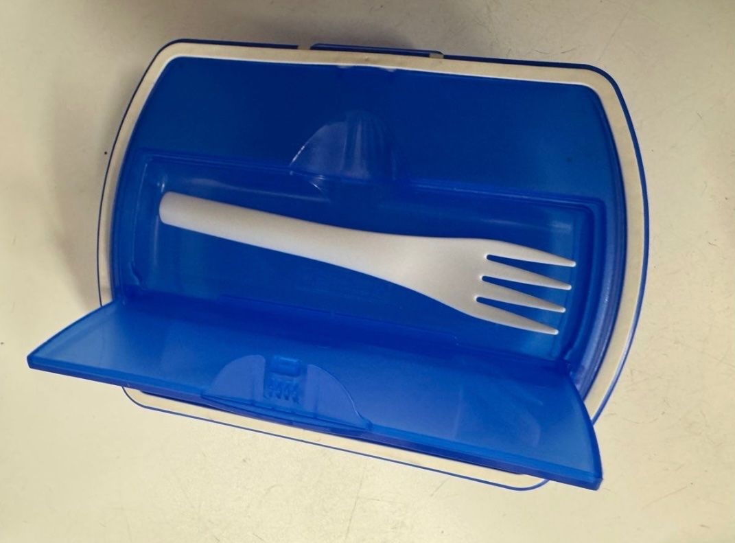 Contenitori & Simili: Blaue Lunchbox – Usato da Zürich venduto da zd_1965 2