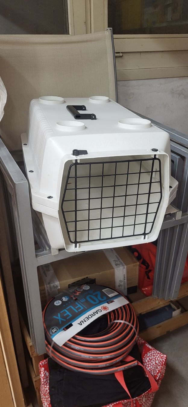 Gabbie, trasporto & Sicurezza: katzentransport box – Usato da Basel venduto da topthings
