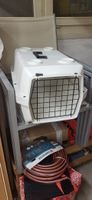 katzentransport box