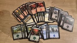 MTG Magic - 99 Basic Lands / Manas von Alara Reborn (EN)