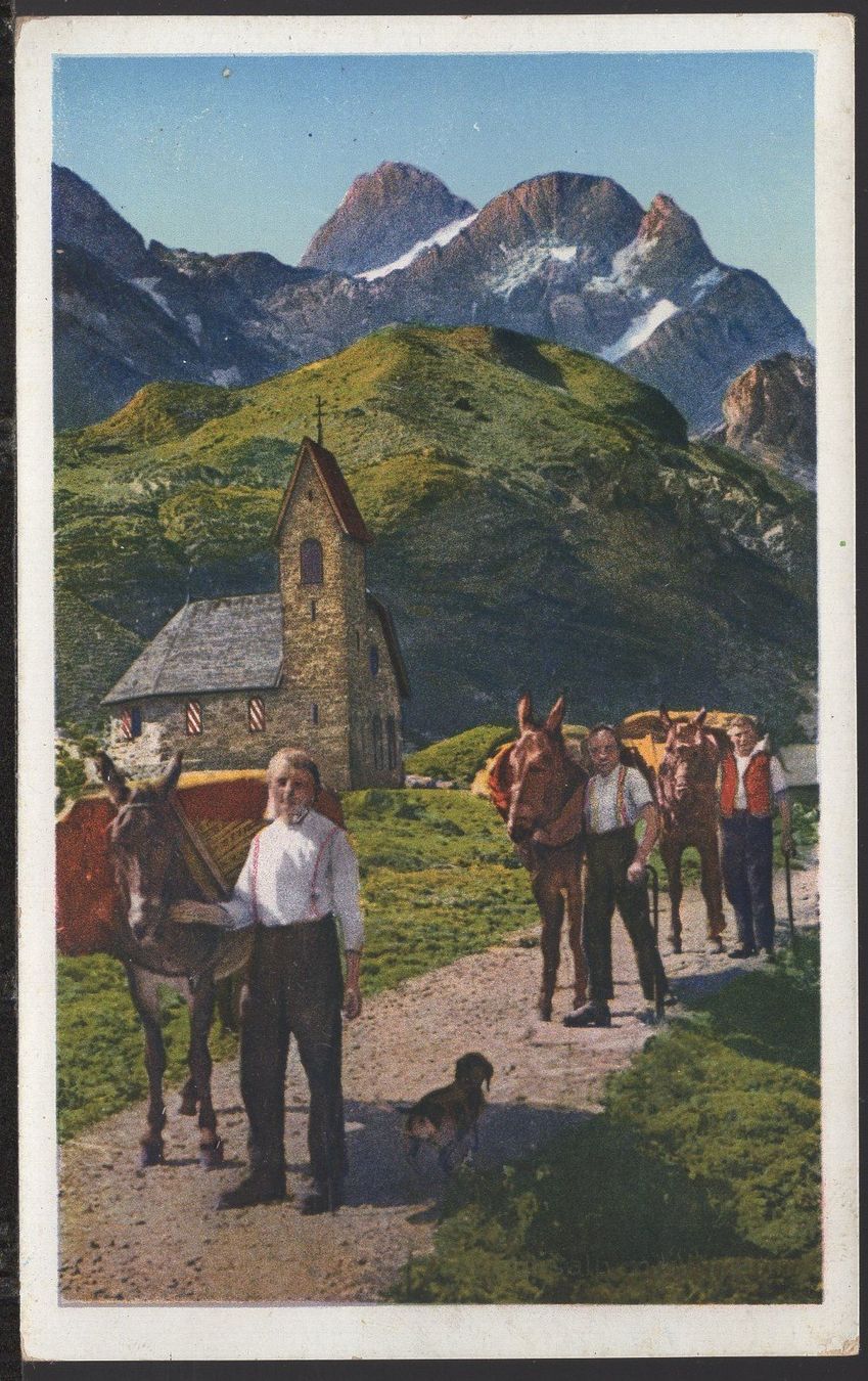 Cartoline postali: Säntissäumer auf Meglisalp. Nr. 38 – Usato da Aarau venduto da kufi44