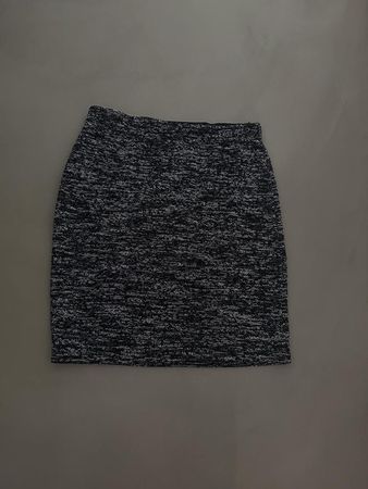 Max studio Skirt