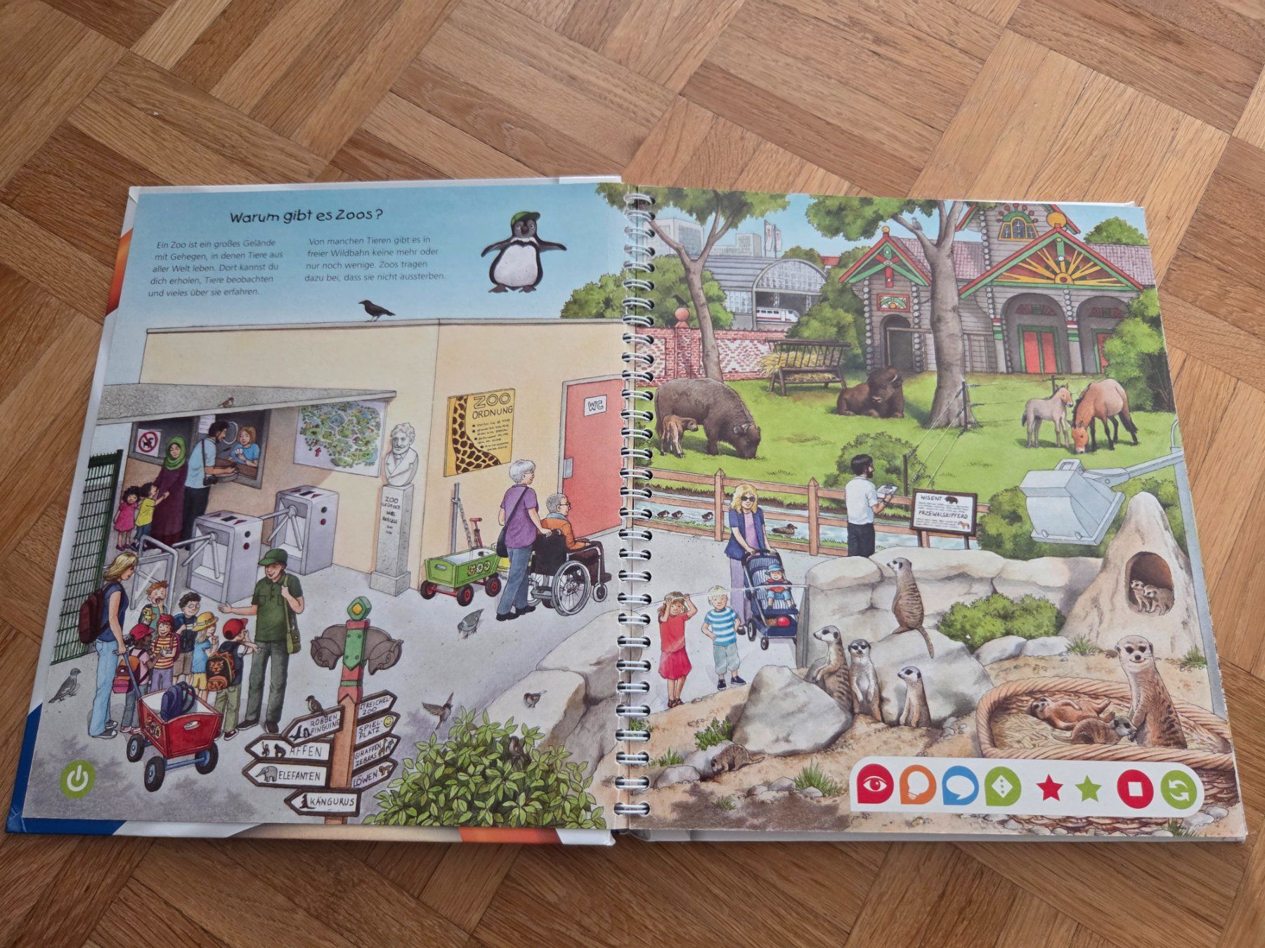 Livres: Tiptoi Buch Entdecke den Zoo – D'occasion à Rudolfstetten par anjam81 1
