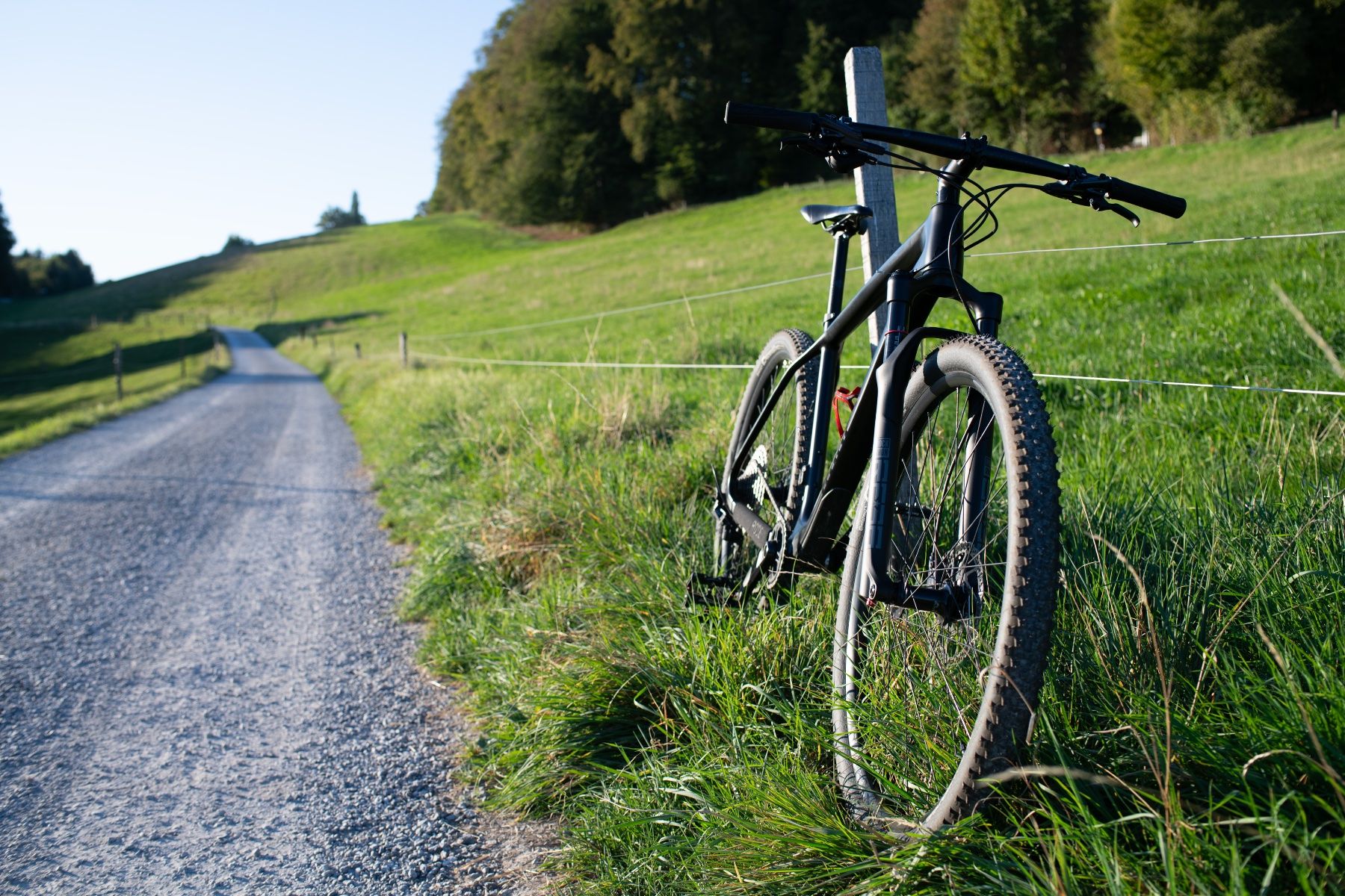 Rose Vélos: Rose Psycho Path 2, MTB, schwarz, Grösse L – D'occasion à Bern par belawoda 1