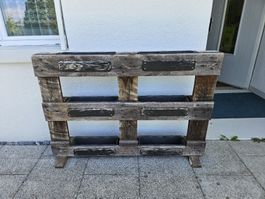 Pflanzregal aus Europalette mit 6 Einsätzen gebraucht