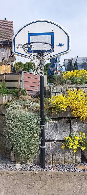 Canestri da basket: Basketballkorb – Usato da Geuensee venduto da Itingen1 3