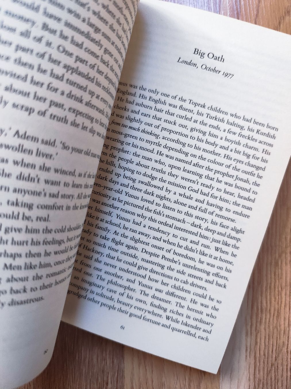 Libri: Elif Shafak "Honour"  – Usato da Mägenwil venduto da VintageGirly 3