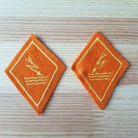 Kragenspiegel Schweizer Armee / Wasseralarmdienst