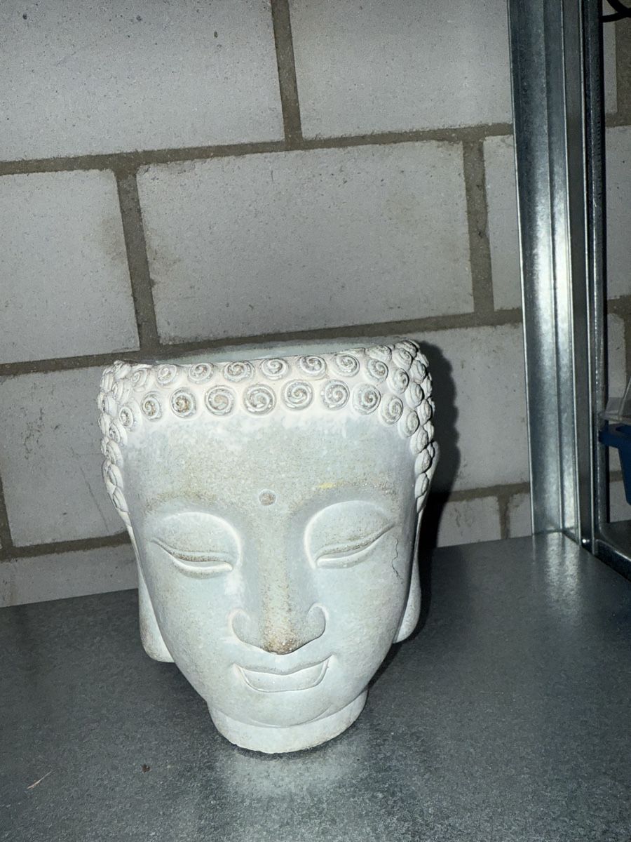 Vasi per fiori: Blumentopf buddha – Usato da Mörschwil venduto da Seegurke18