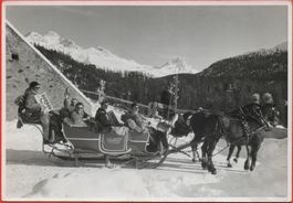 ST. MORITZ CHAMPFÈR Pferde-Schlitten-Fahrt Luzi Müller