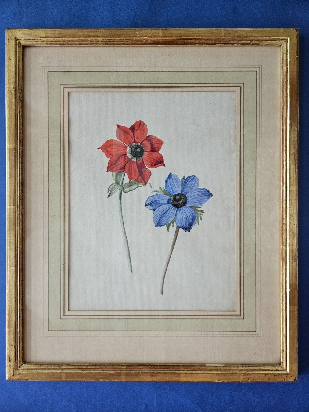Dipinti: Europäische Schule 18./19.Jh. "Anemonen" – Usato da Wisen SO venduto da gralstrand