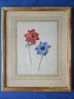 Europäische Schule 18./19.Jh. "Anemonen"