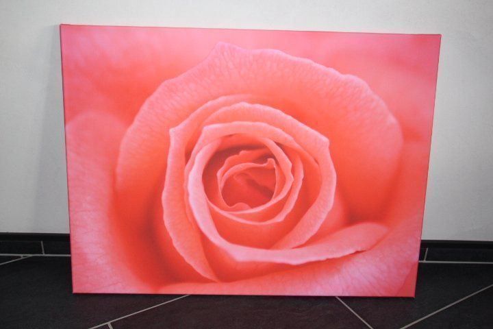 Foto & Immagini: Fotoleinwanddruck 60 x 80 cm – Usato da Eschenbach SG venduto da Anisti13