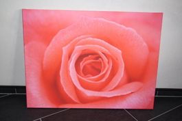 Fotoleinwanddruck 60 x 80 cm