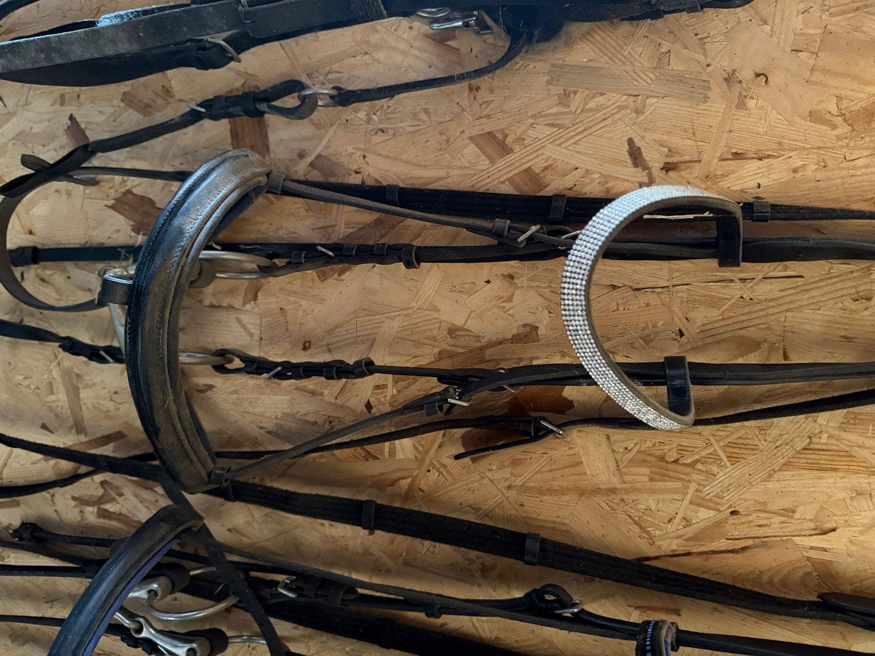 Selle & Accessori: Diverses Pferde zubehör – Usato da Zollbrück venduto da yan_k28r 9