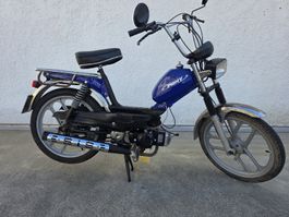 PONY GTX - Top zustand, frisch revidiert