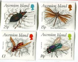 Briefmarken "Insekten". Ascension