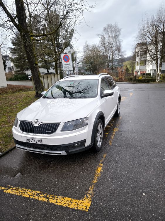 Skoda Automobili: Skoda Octavia Scout 2017 4x4 2.0TDI Handschaltung AHK MFK – Usato da Oberrohrdorf venduto da PieBu