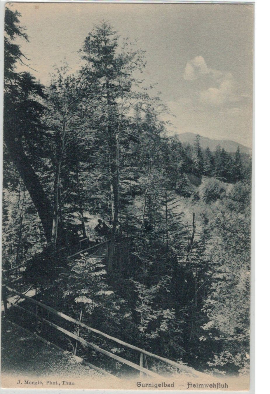 Cartoline postali: BE 54 Gurnigelbad Heimwehfluh RIGGISBERG – Nuovo (secondo la descrizione) da Fribourg venduto da philafri