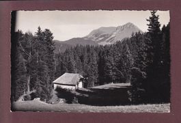 LES PACCOTS - 1951