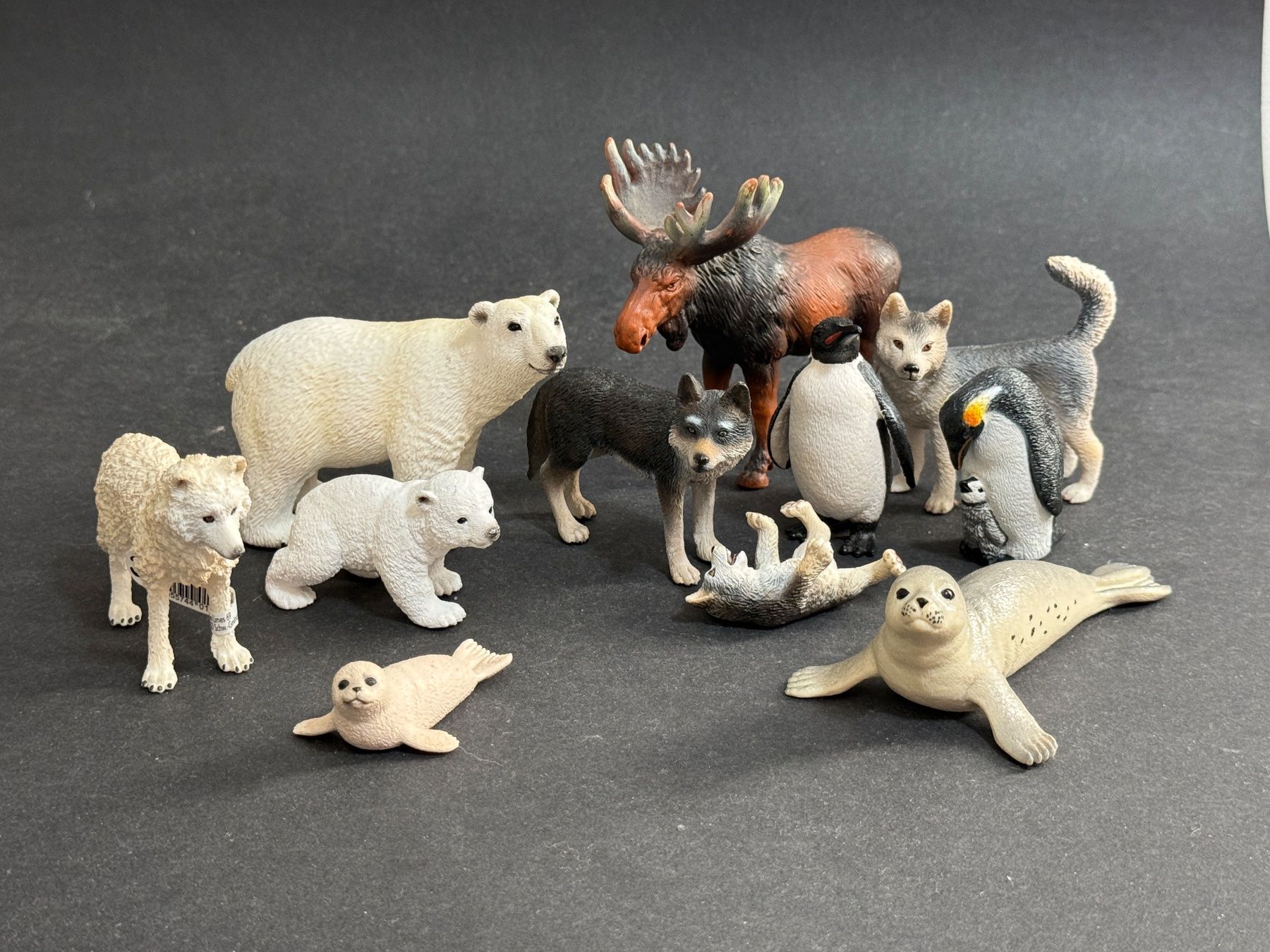 Schleich Statuette: Schleich Polar Tiere Eisbär Wolf Elch Pinguin Polarfuchs – Usato da Ennetbaden venduto da mapa05