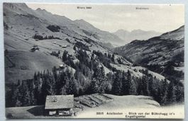 Adelboden - Blick von der Bütschegg in's Engstligental
