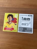 Panini COL 7