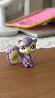 Littlest pet shop Squirrel #1567