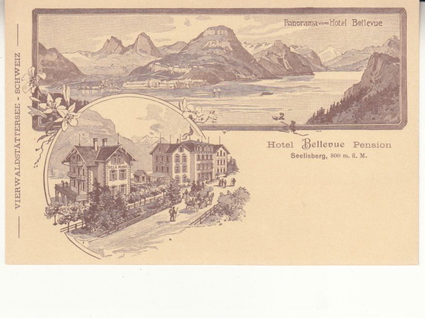 Cartoline postali: Seelisberg Bellevue ca. 1910 – Usato da Bürglen TG venduto da StampGraf