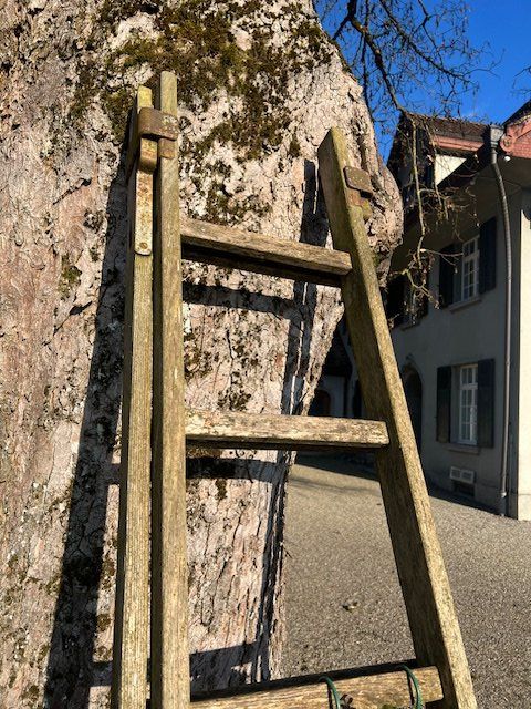 Scale: Schöne, alte Holzleiter – Usato da Winterthur venduto da woodenhiller68 6