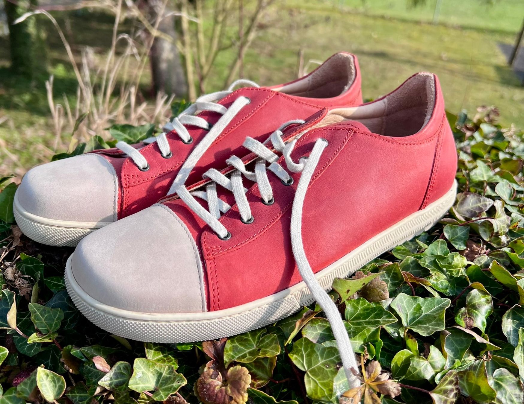 Scarpe da uomo: Waldviertler Sneaker,  NEU, Grösse 39F – Usato da Bülach venduto da balti02