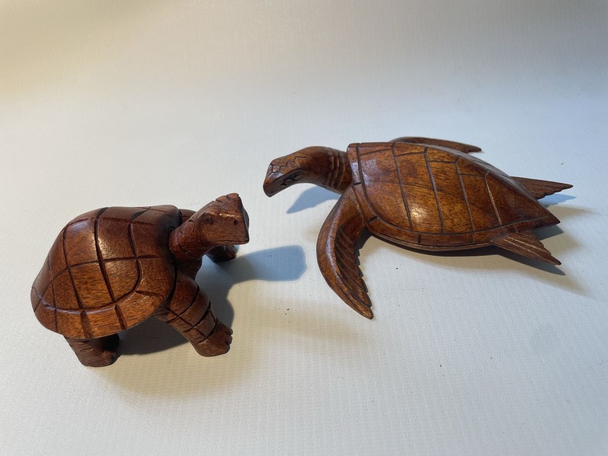Statuette: Statues- 2 tortues sculptées à la main – Nuovo (secondo la descrizione) da Renens VD venduto da sas_6vhd
