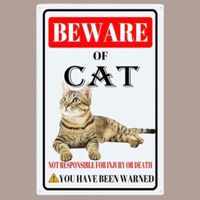 🐱 BEWARE OF CAT Katzen Blechschild 🎀 20x30cm OVP 🔥