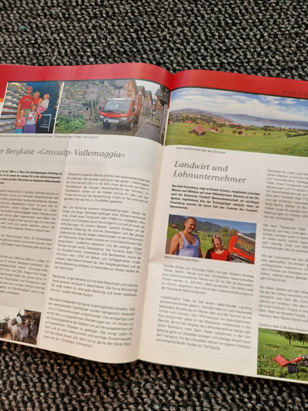 Aebi Trattori: Original Aebi Professional Ausgabe 4 – Usato da Dürnten venduto da Bachtel84 6