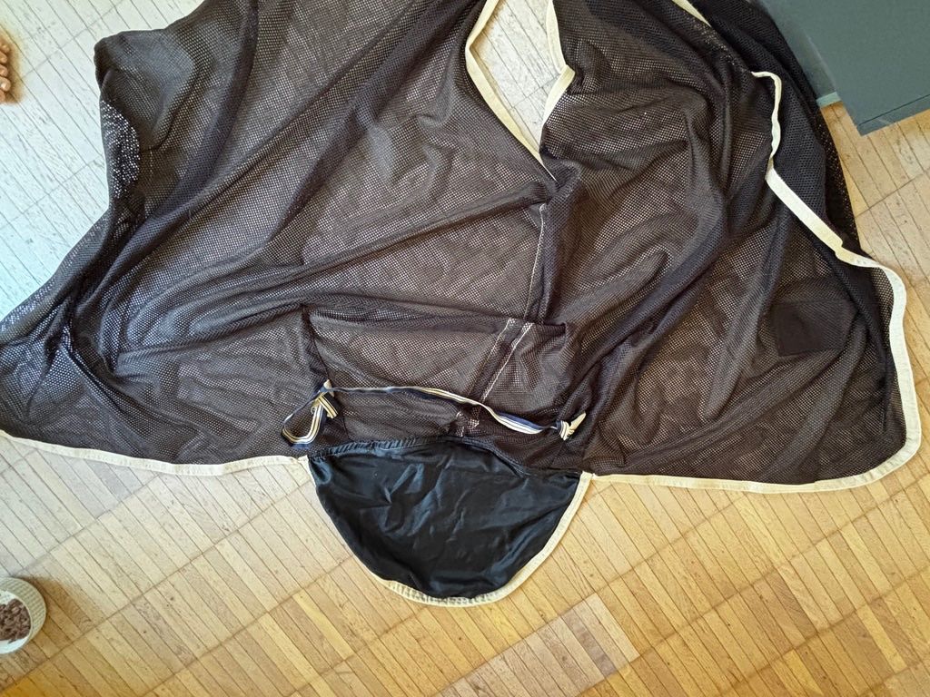 Coperte: Fliegendecke zum Ausreiten – Usato da Spreitenbach venduto da Hemingway69 5