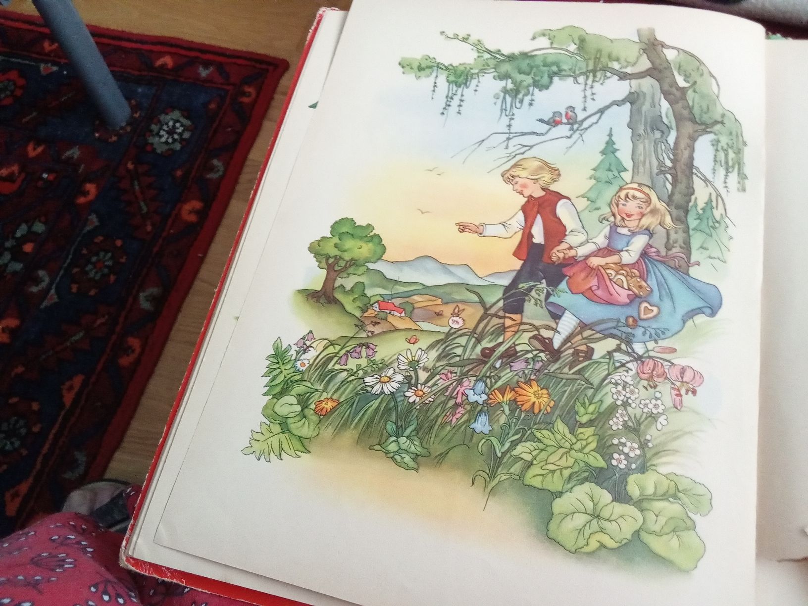 Bücher: GRIMMS MÄRCHEN – Gebraucht aus Muri BE von Alk 3