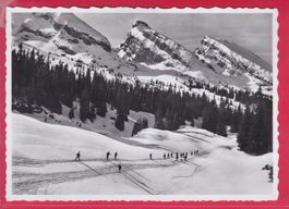 BEI UNTERWASSER: SELLENMATT MIT CHURFIRSTEN, 12.2.1959