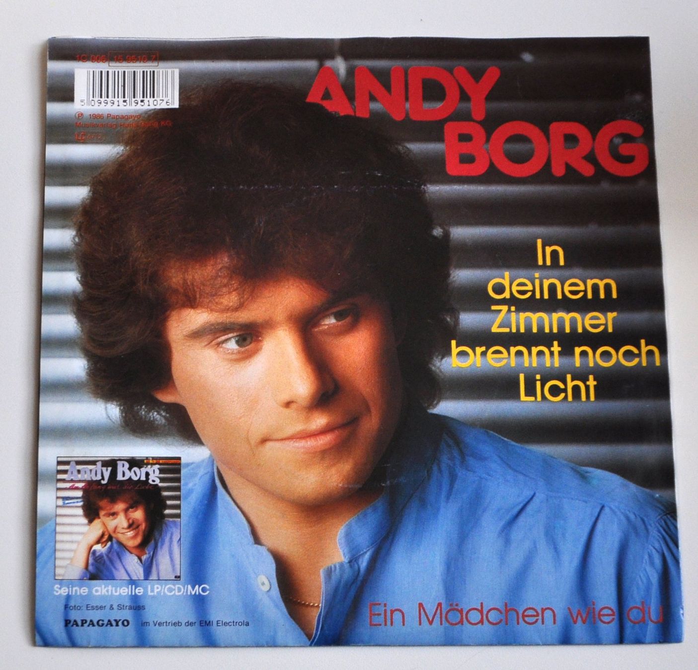 Vinyles: Andy Borg 14 Singles – D'occasion à Andwil TG par Wanton25 5