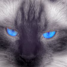 Profile image of ware02